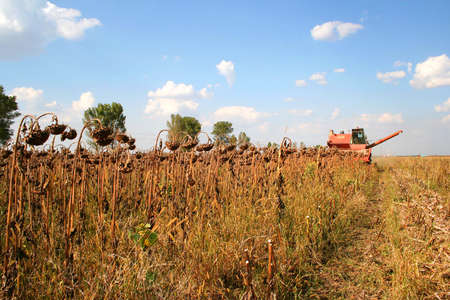 Combine Harvestの写真素材