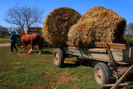 Hay Balesの写真素材