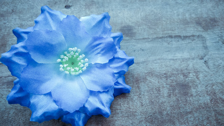 blue Origami or Artificial cotton flowers backgroundの写真素材