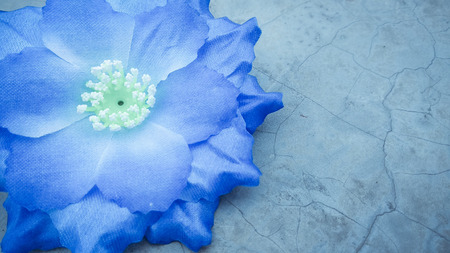 blue Origami or Artificial cotton flowers backgroundの写真素材
