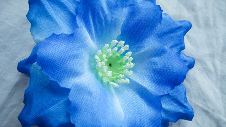 closeup blue Origami or Artificial cotton flowers backgroundの写真素材