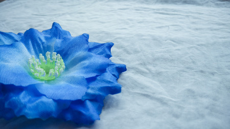 closeup blue Origami or Artificial cotton flowers backgroundの写真素材