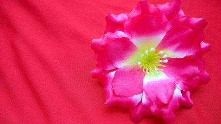 closeup red Origami or Artificial cotton flowers on red backgroundの写真素材