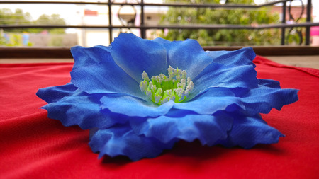 closeup blue Origami or Artificial cotton flowers red backgroundの写真素材
