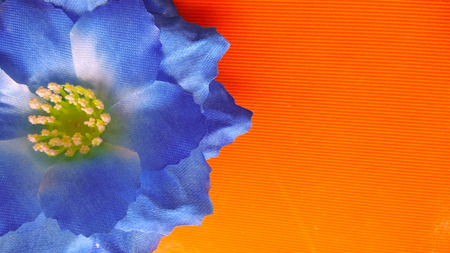 closeup blue Origami or Artificial cotton flowers red backgroundの写真素材