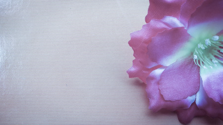 closeup red Origami or Artificial cotton flowers backgroundの写真素材