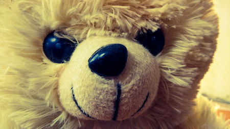 closeup teddy bearの写真素材