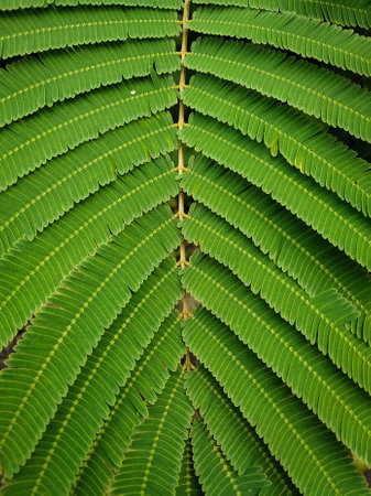 Small green leaves pattern for background
