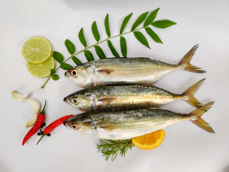 Fresh Indian Mackerel fish Decorated with herbs and lemon slice .の写真素材