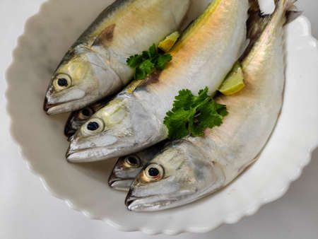 Fresh Indian Mackerel fish decorated with herbs and lemon slice on a white pot.の写真素材
