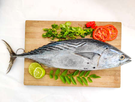 Tuna /Little Tuna (Thunnus Thynnus), Decorated with Herbs and Vegetable s on a wooden Pad.