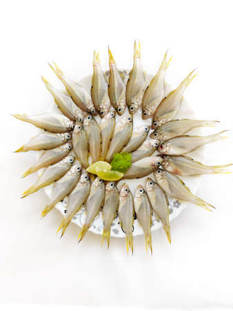 Bald Glassy Fish / Malabar Glassy Perchlet Fish (Ambassis Dussumieri), Decorated with curry Leaves...