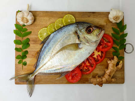 Close up view of fresh Malabar Trevally Fish decorated with curry leaves , tomato,lemon slice and herbs on a white Background.の写真素材