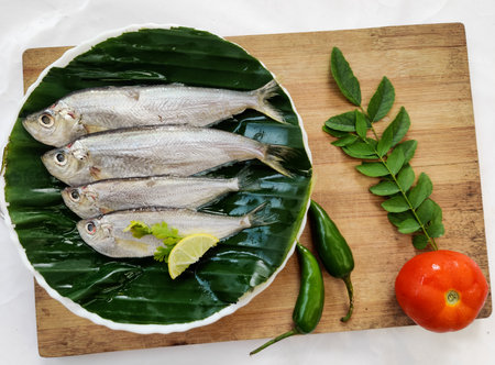 Closeup view of Fresh Malabar Thryssa Fish decorated with herbs and vegetables,Selective focus.White Background.の写真素材