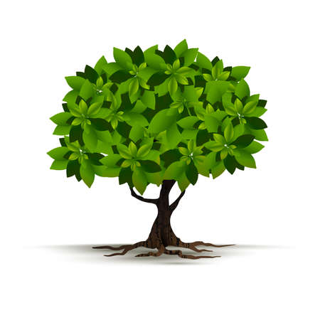 Illustration Realistic Tree Isolated on White Background - Vectorのイラスト素材