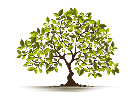 Illustration Realistic Tree Isolated on White Background - Vectorのイラスト素材