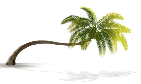 Illustration Realistic Tree Isolated on White Background - Vectorのイラスト素材