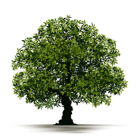 Illustration Realistic Tree Isolated on White Background - Vectorのイラスト素材