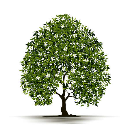 Illustration Realistic Tree Isolated on White Background - Vectorのイラスト素材