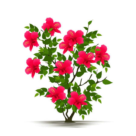 Illustration Realistic Tree Isolated on White Background - Vectorのイラスト素材