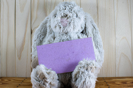 plush rabbit sits and holds in paws a blank purple signの写真素材