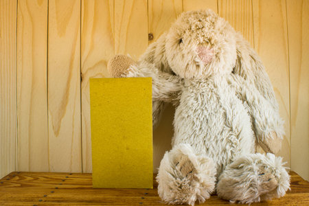 plush rabbit sits and holds in paws a blank yellow signの写真素材