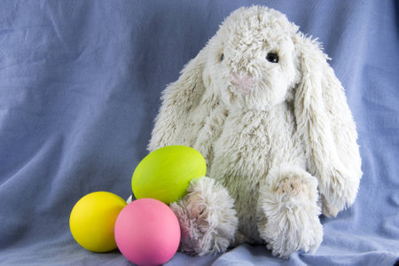 Rabbit (bunny) and Easter Egg on a blue backgroundの写真素材