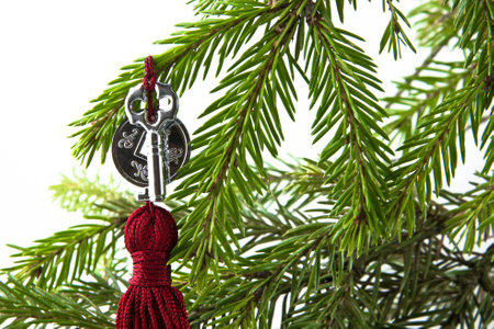 Feng Shui: one coin and the key on the background branches fir green on white background