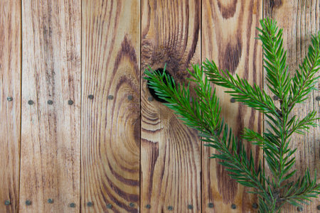 Green fir branch on wooden backgroundの写真素材
