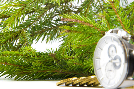 Green spruce branch, stack of gold coins and wrist watch on white backgroundの写真素材