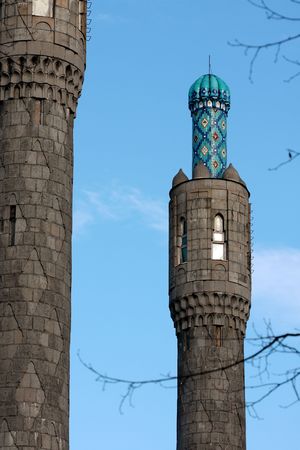 Blue domes cathedral minarets. St.-Petersburgの写真素材