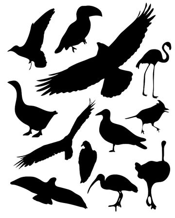 illustrated bird silhouettesのイラスト素材