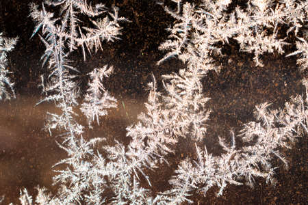 Cold winter morning ice flowers on glass, background with copy spaceの写真素材