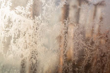 Cold winter morning ice flowers on glass, background with copy spaceの写真素材