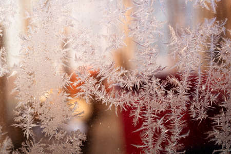 Cold winter morning ice flowers on glass, background with copy spaceの写真素材