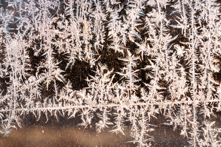 Cold winter morning ice flowers on glass, background with copy space