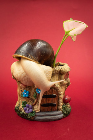 Large achatina snail pet with a potted plant, red background with copy spaceの写真素材