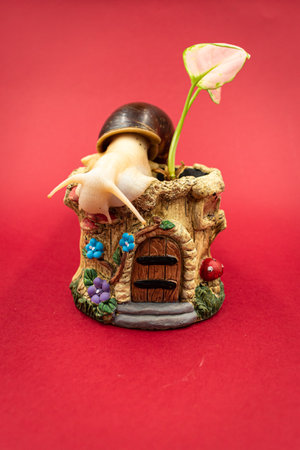 Large achatina snail pet with a potted plant, red background with copy spaceの写真素材