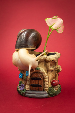 Large achatina snail pet with a potted plant, red background with copy spaceの写真素材