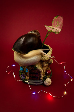 Large achatina snail pet with a potted plant and colorful fairy lights, red background with copy spaceの写真素材