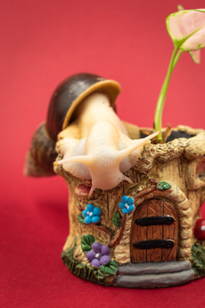 Garden snail with a flower in a pot on a red backgroundの写真素材