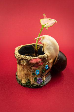 Decorative snail with a flower in a pot on a red backgroundの写真素材