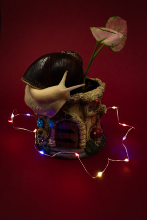 snail in a pot on a red background with a garlandの写真素材