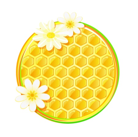 honeycomb in circle with camomile flower isolated on white backgroundのイラスト素材