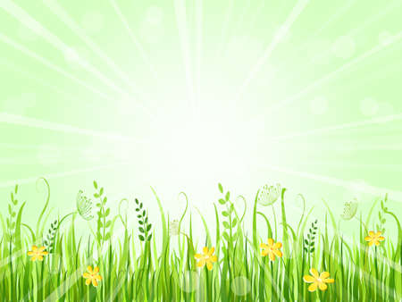 Beautiful Summer Meadow Landscape. Vector Illustration of Grass at Lawn With Green Skyのイラスト素材