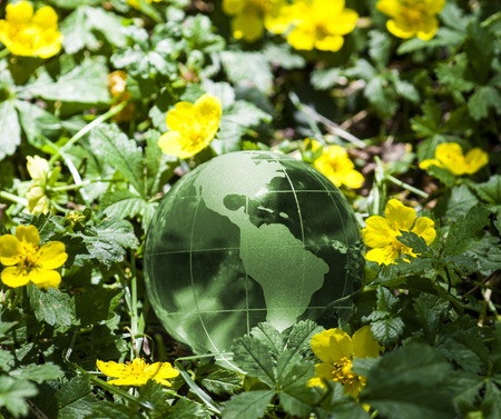 World environmental concept. Crystal globe in green grass with yellow flowers. Visible are the continents the Americas.の写真素材