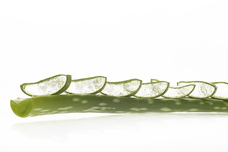Fresh sliced aloe vera leaves isolated on white backgroundの写真素材