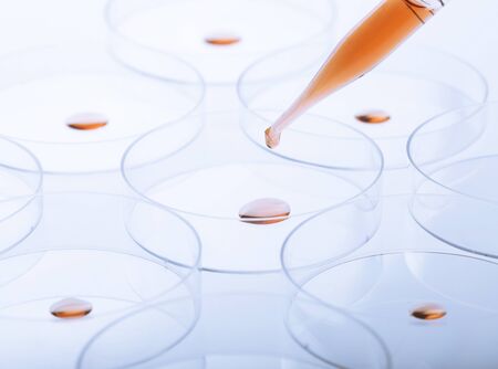 Petri dishes and pipette with liquid material. Laboratory concept.の写真素材