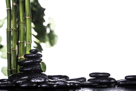 Grean bamboo leaves over black zen stones pyramid on white backgroundの写真素材