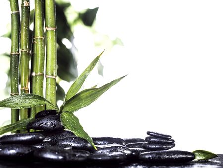 Grean bamboo leaves over black zen stones pyramid on white backgroundの写真素材
